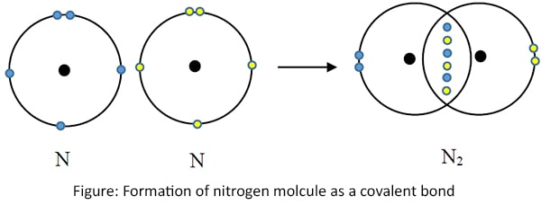 Formation of nitrogen molcule as a covalent bond